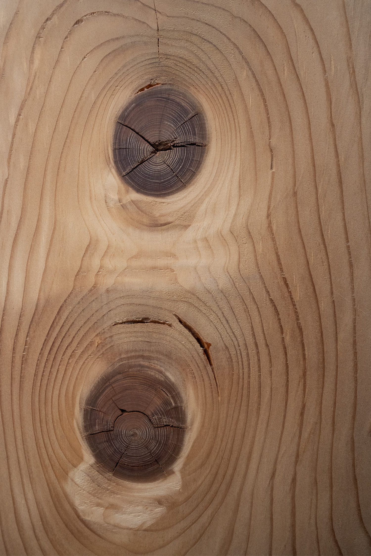 Dettaglio del legno di recupero di pino e abete usato per la libreria d’ingresso